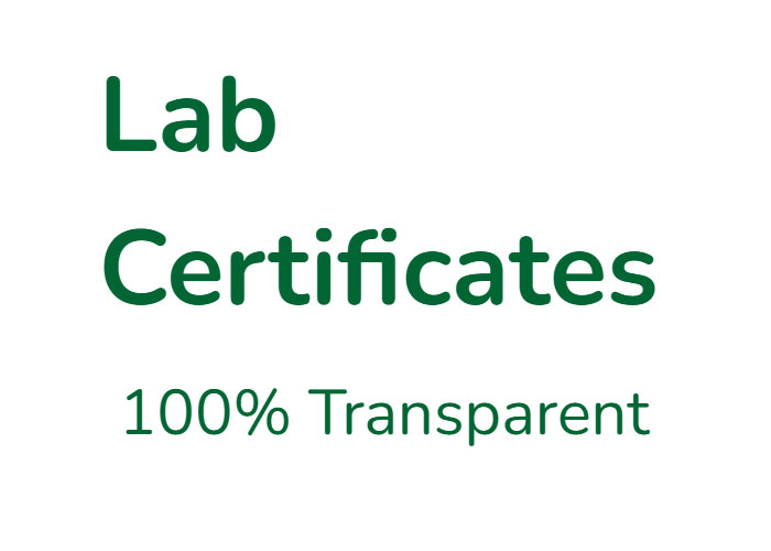 lab
