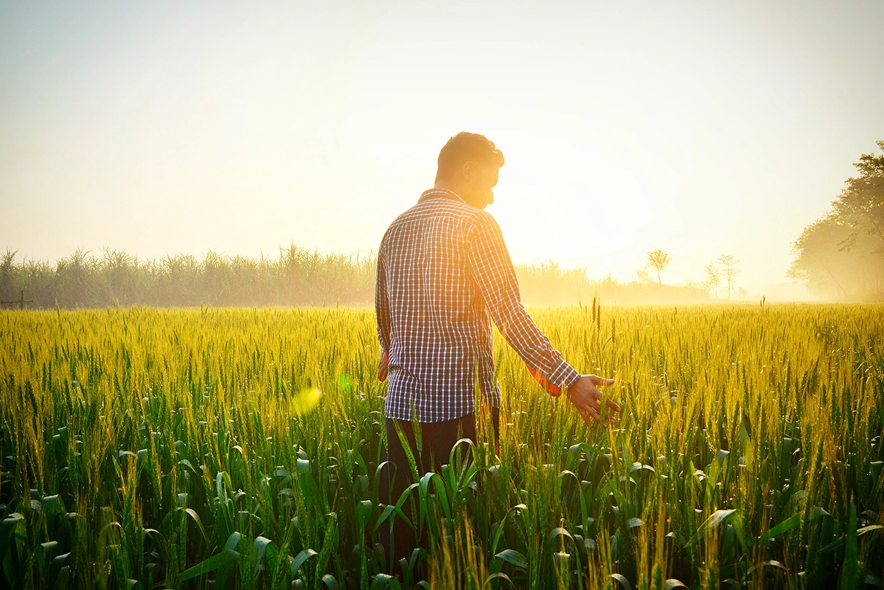 Buy Indian Grocery Online in Germany and Across Europe
