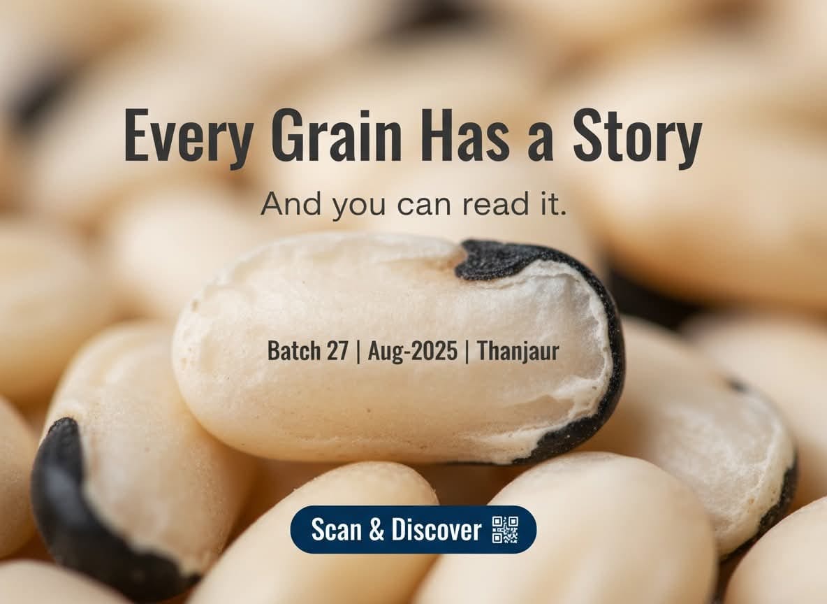 grain story